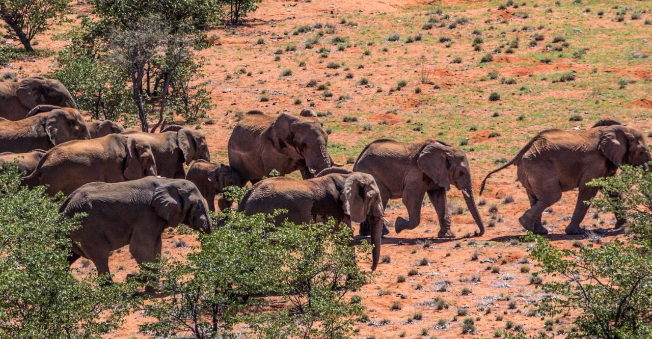 Grootberg Lodge ダマラランド エクステリア 写真