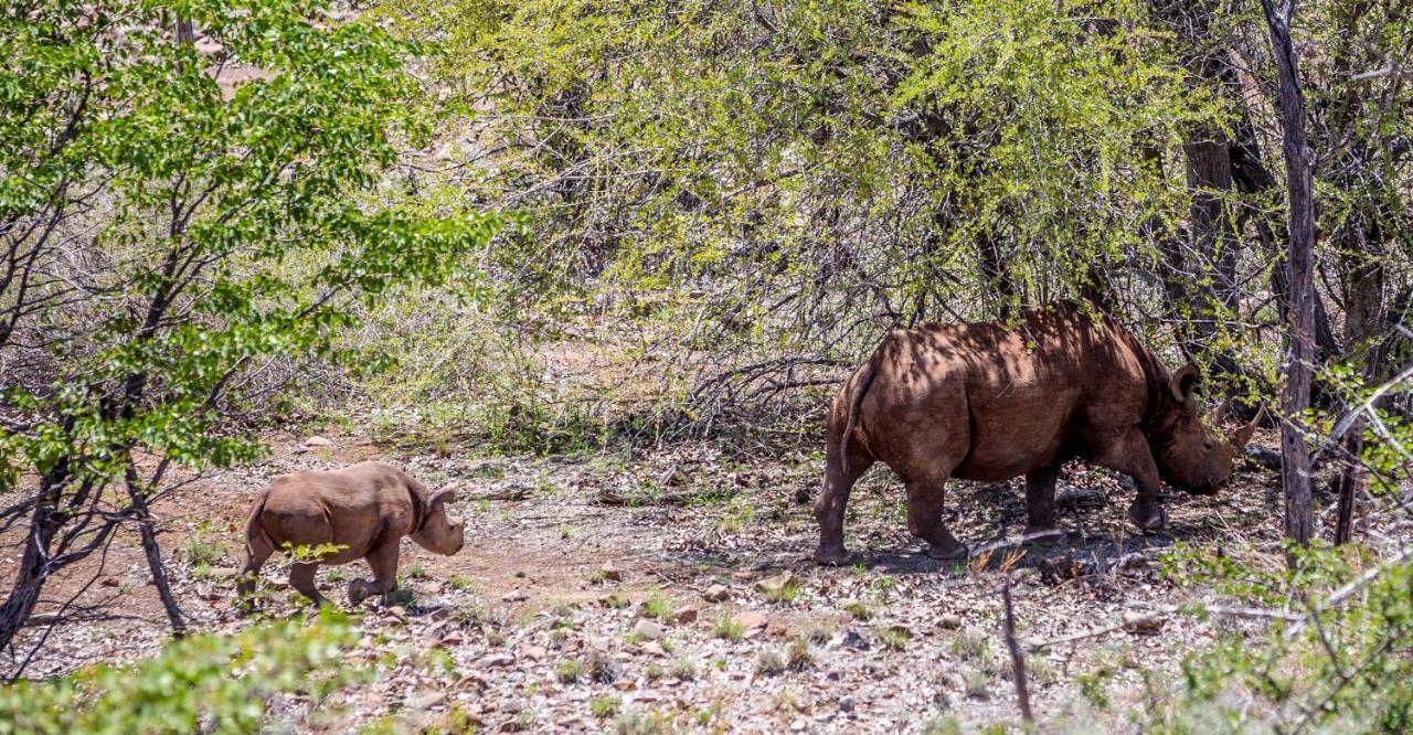 Grootberg Lodge ダマラランド エクステリア 写真