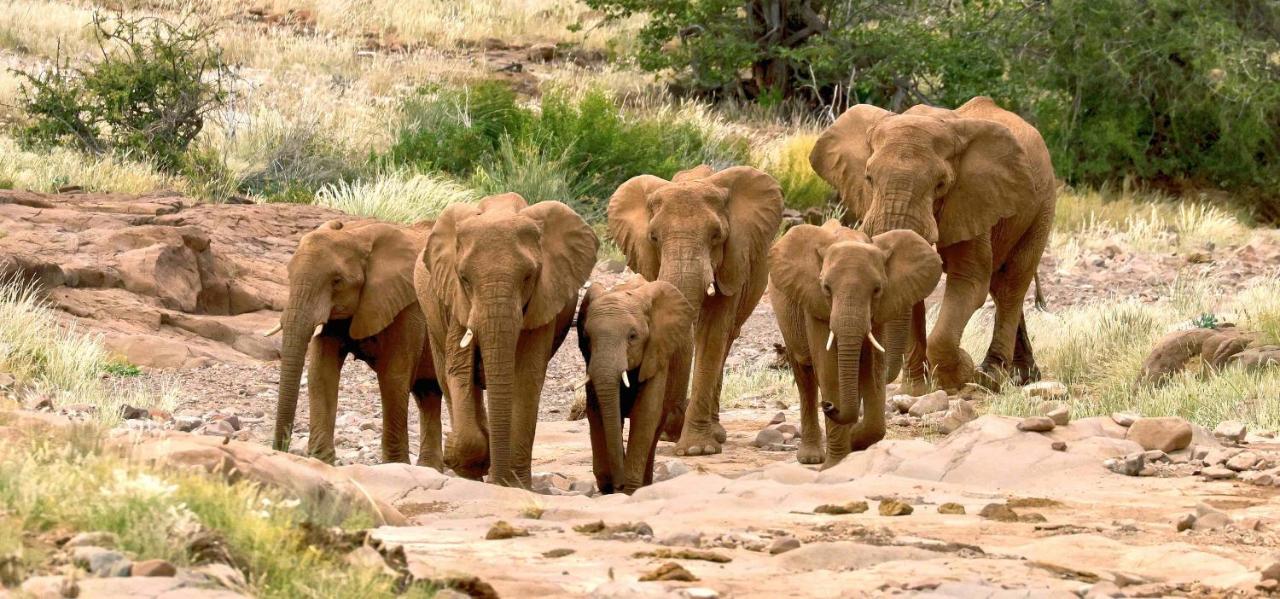 Grootberg Lodge ダマラランド エクステリア 写真