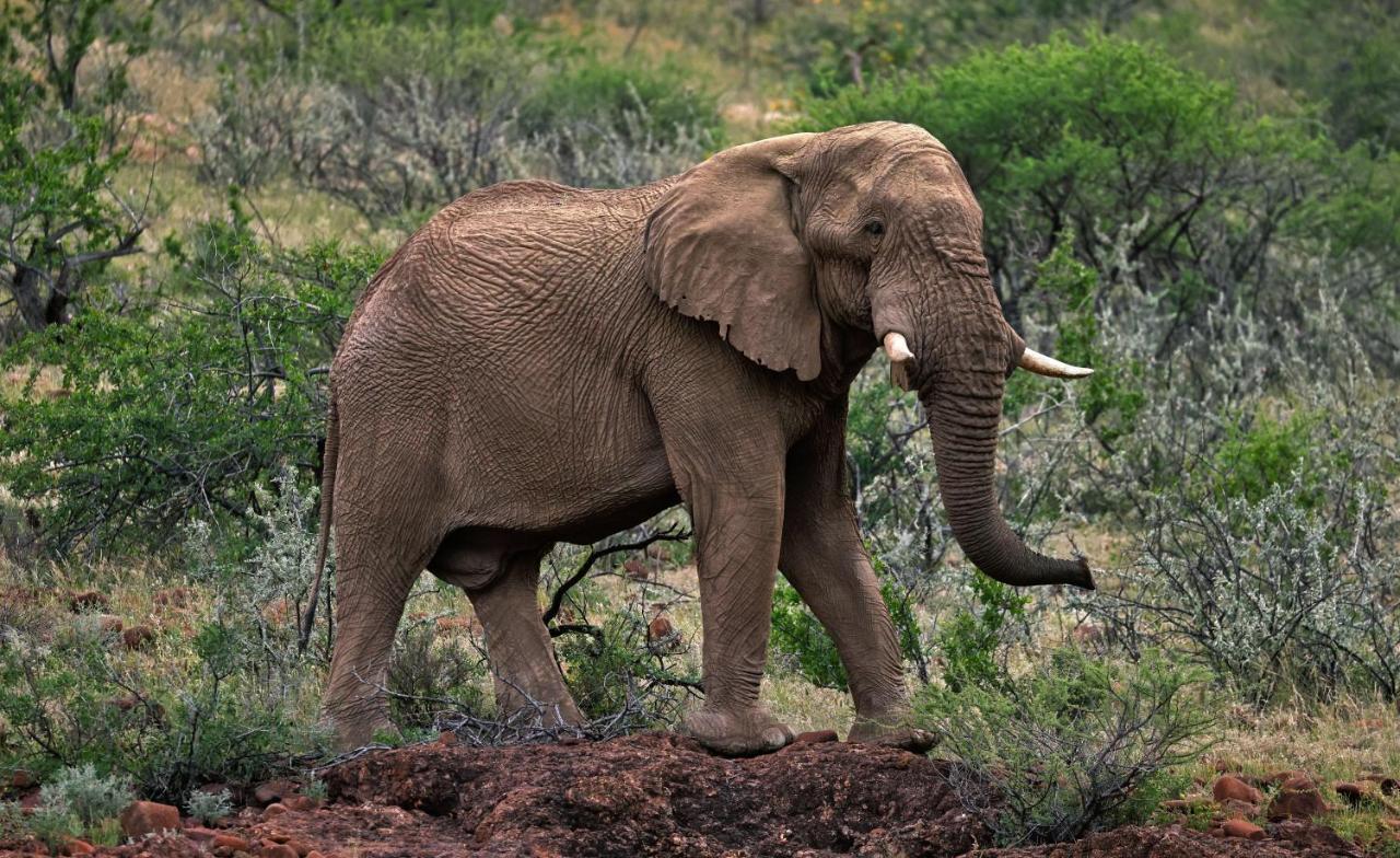 Grootberg Lodge ダマラランド エクステリア 写真