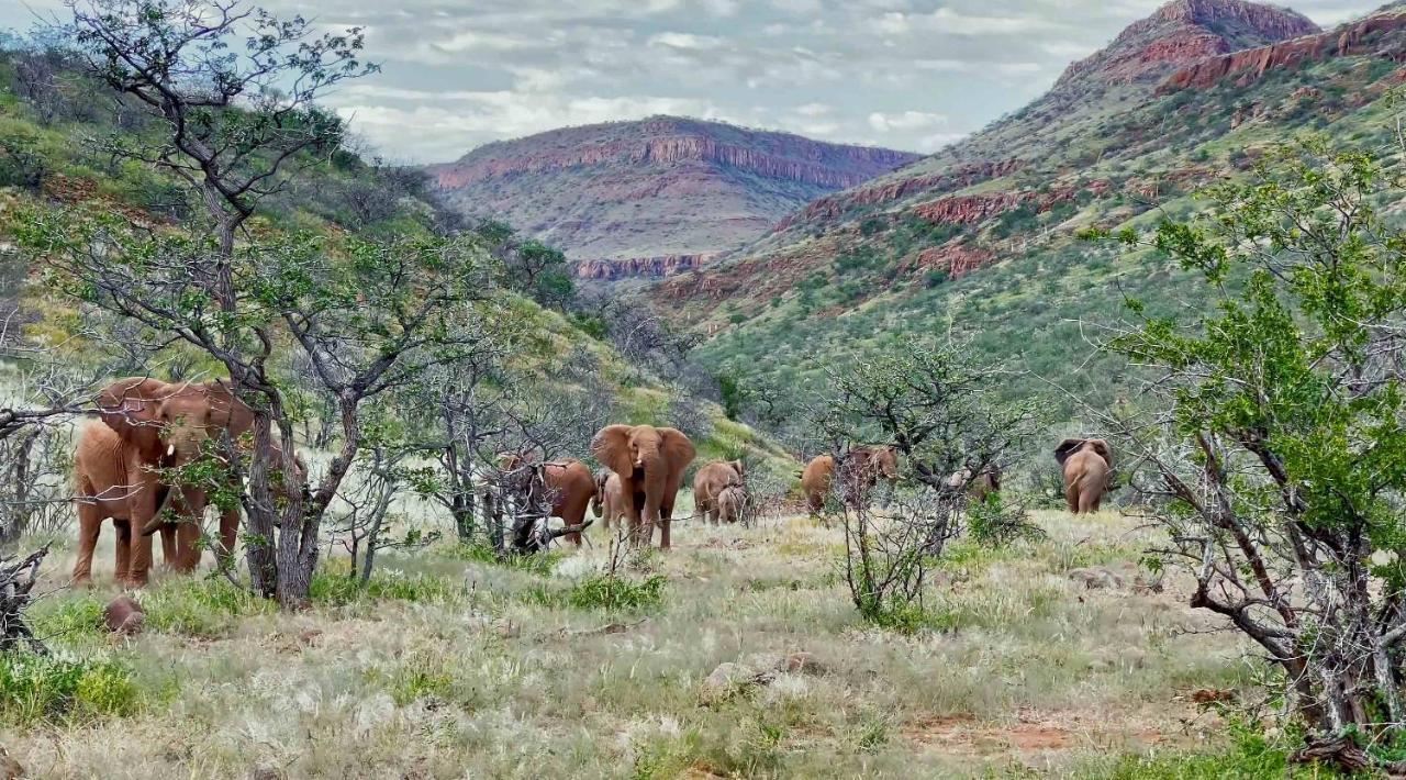 Grootberg Lodge ダマラランド エクステリア 写真