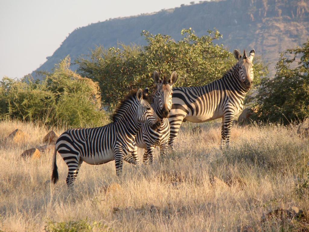 Grootberg Lodge ダマラランド エクステリア 写真