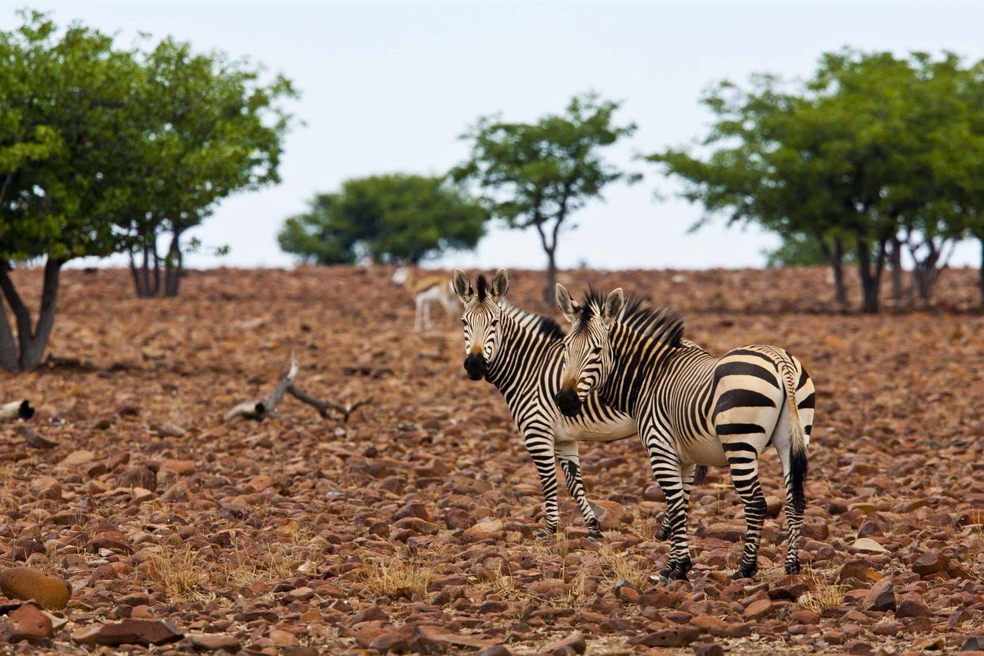 Grootberg Lodge ダマラランド エクステリア 写真