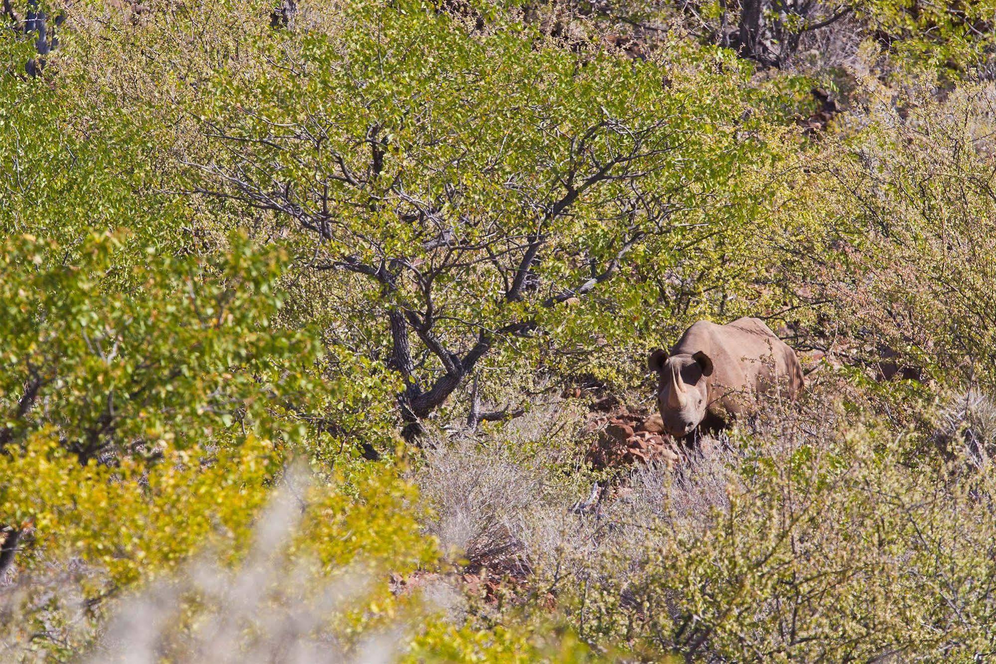 Grootberg Lodge ダマラランド エクステリア 写真